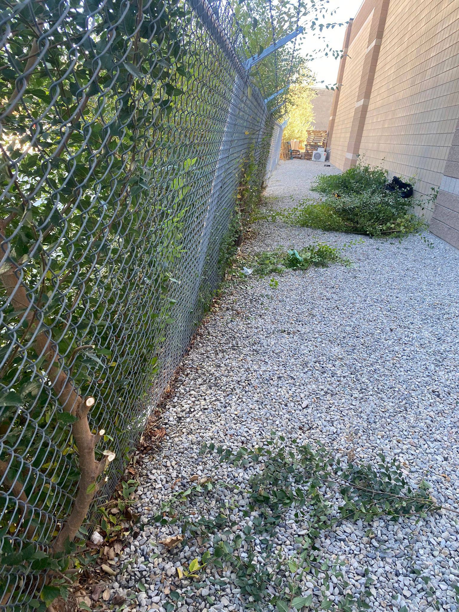 WhatsApp Image 2025-05-04 at 8.54.25 PM (2)