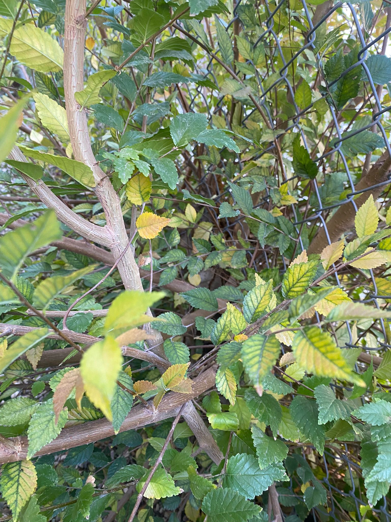 WhatsApp Image 2025-05-04 at 8.54.25 PM (4)