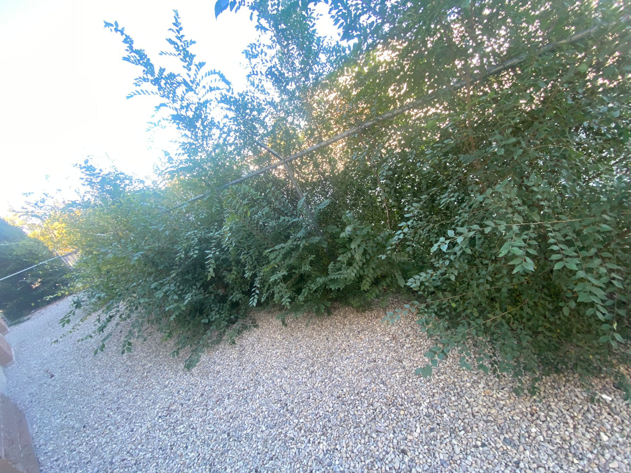 WhatsApp Image 2025-05-04 at 8.54.25 PM (6)