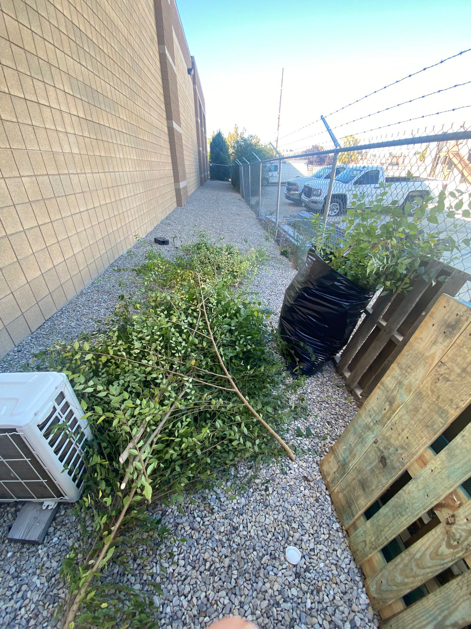 WhatsApp Image 2025-05-04 at 8.54.25 PM