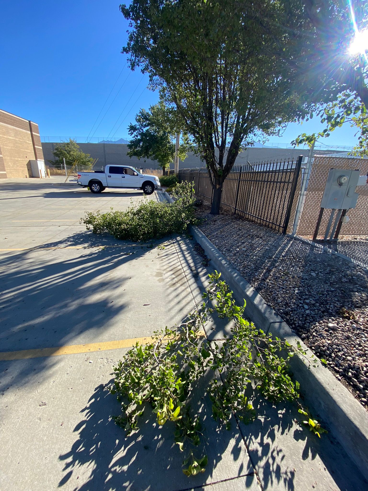 WhatsApp Image 2025-05-04 at 8.54.26 PM (5)