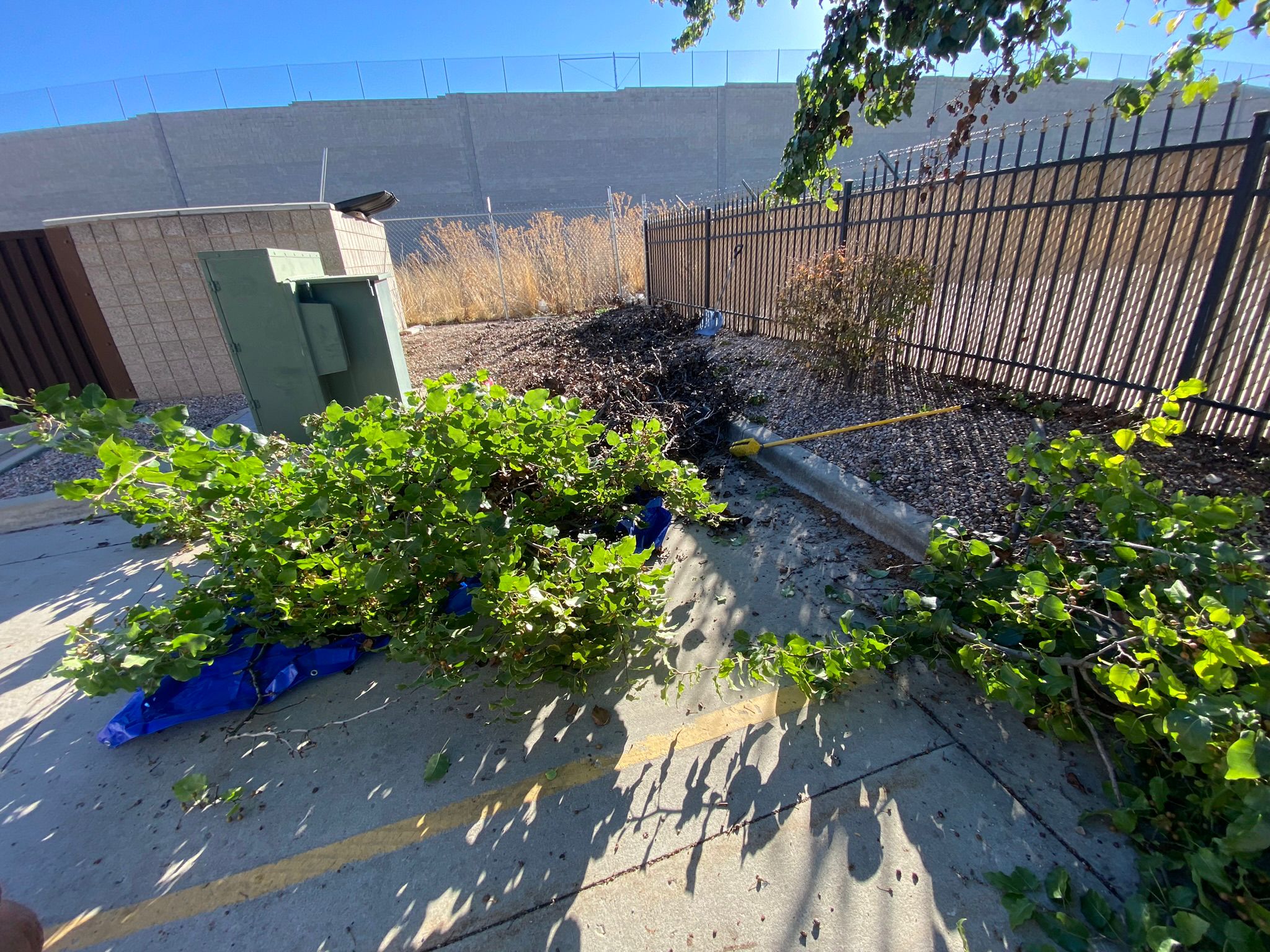 WhatsApp Image 2025-05-04 at 8.54.26 PM (6)