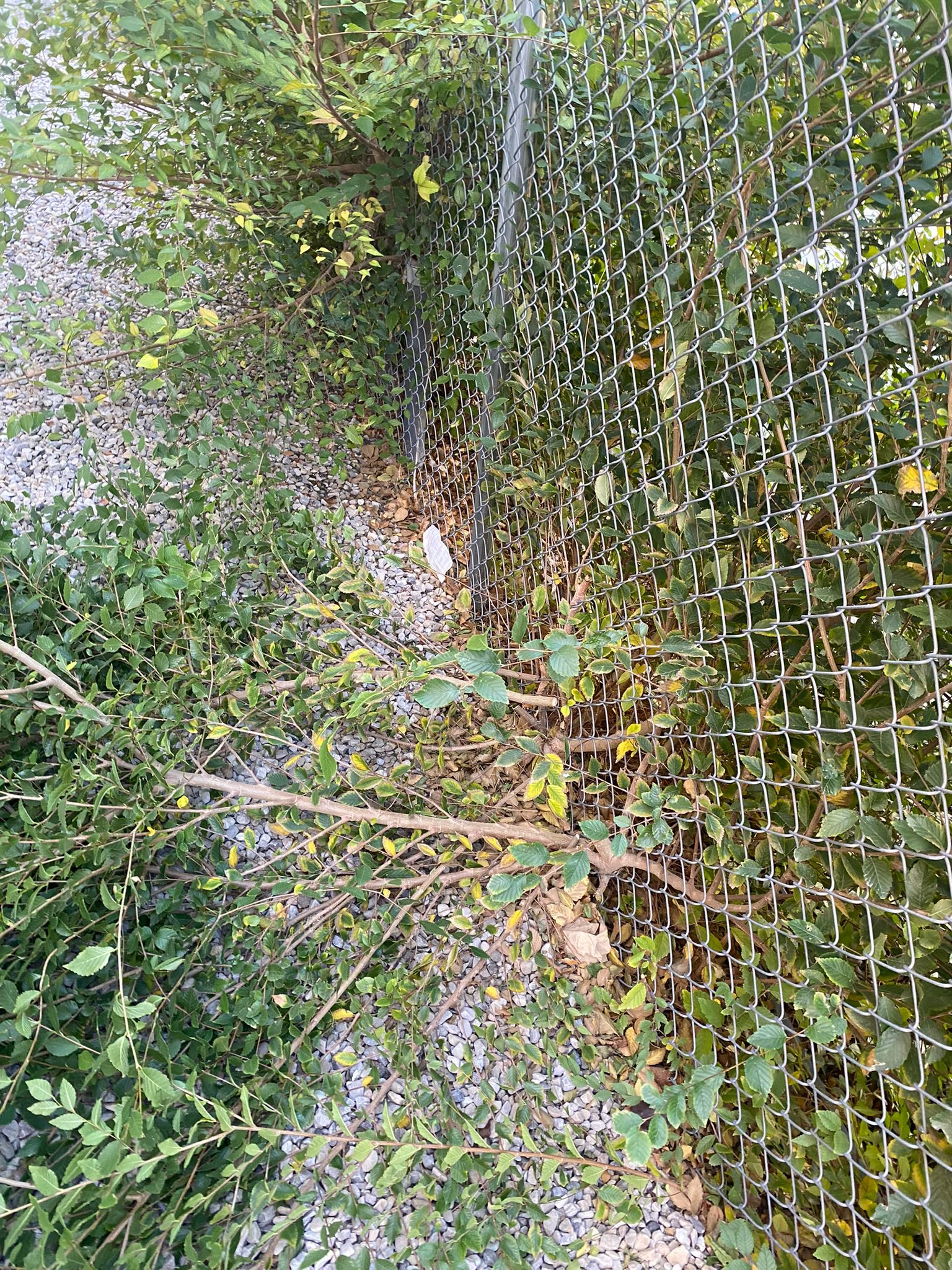 WhatsApp Image 2025-05-04 at 8.54.26 PM