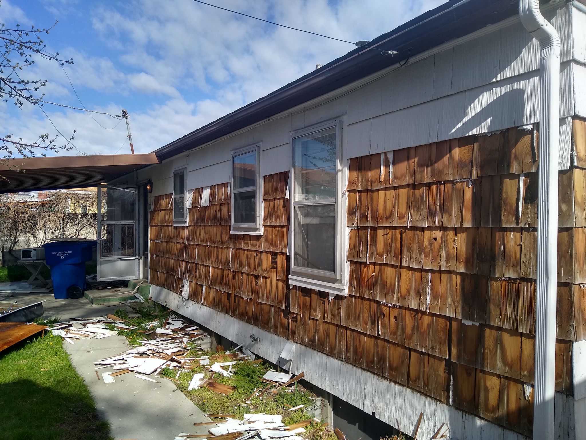 WhatsApp Image 2025-05-04 at 8.55.37 PM (1)