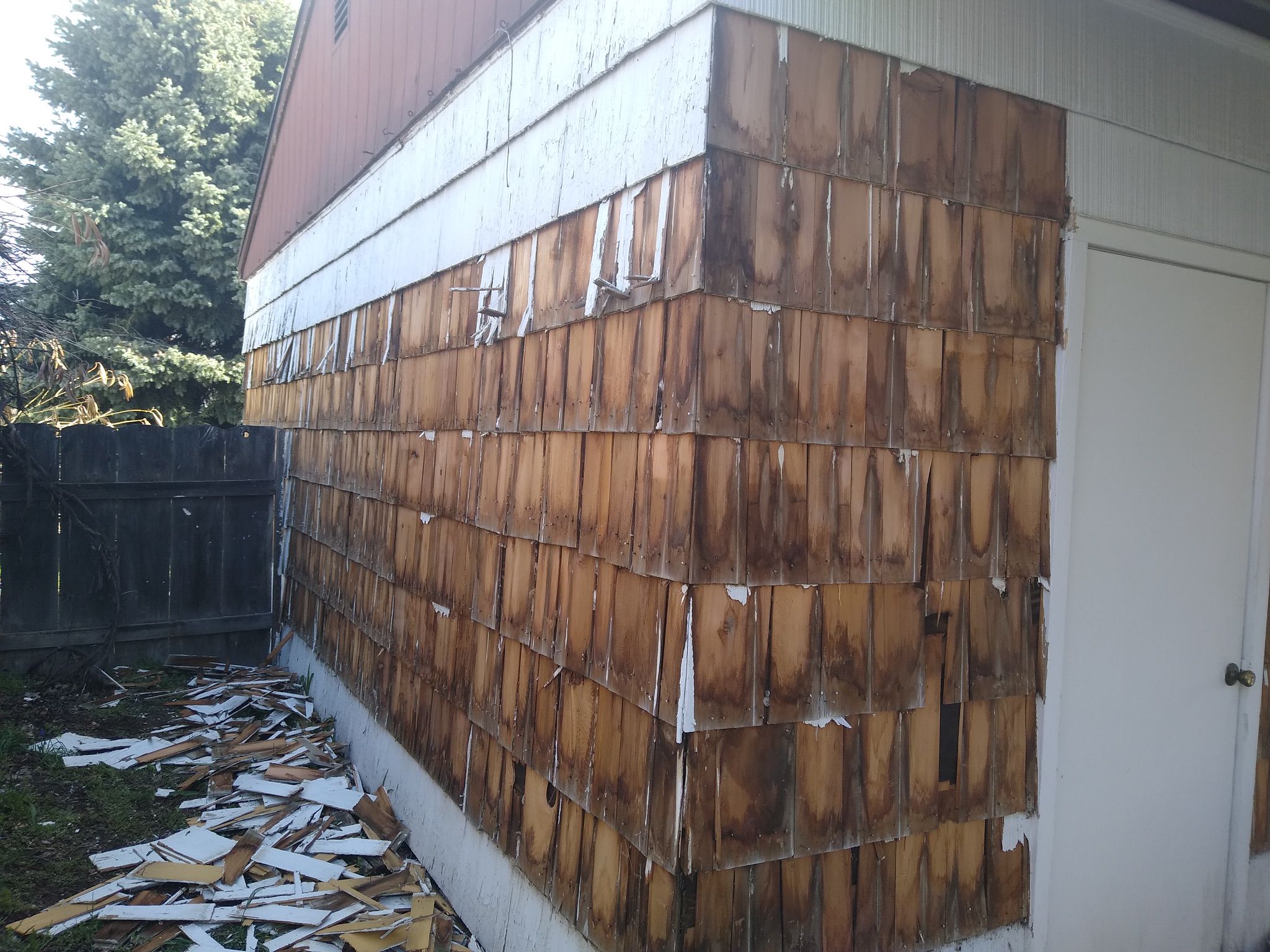 WhatsApp Image 2025-05-04 at 8.55.37 PM (2)