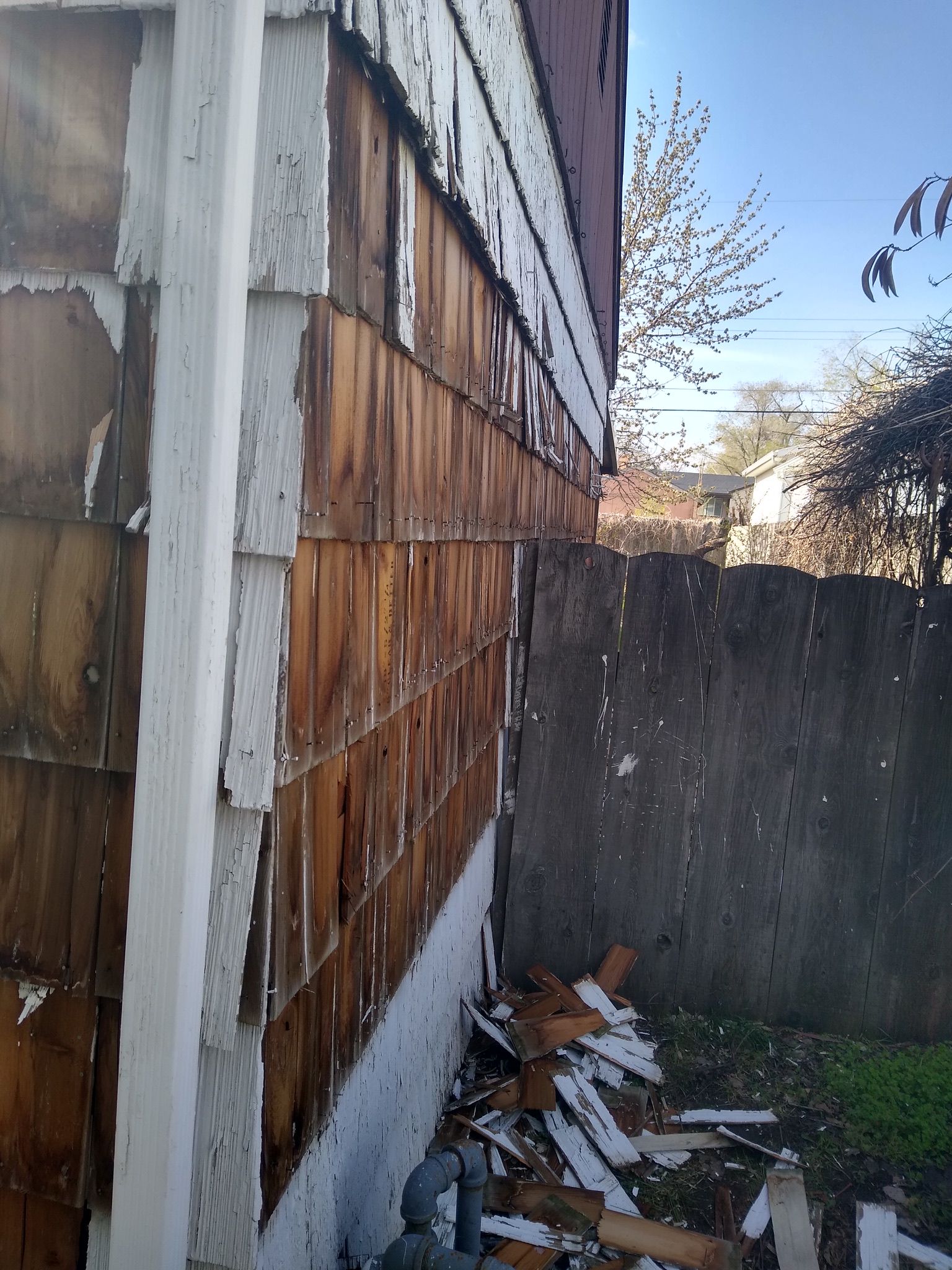 WhatsApp Image 2025-05-04 at 8.55.37 PM (3)