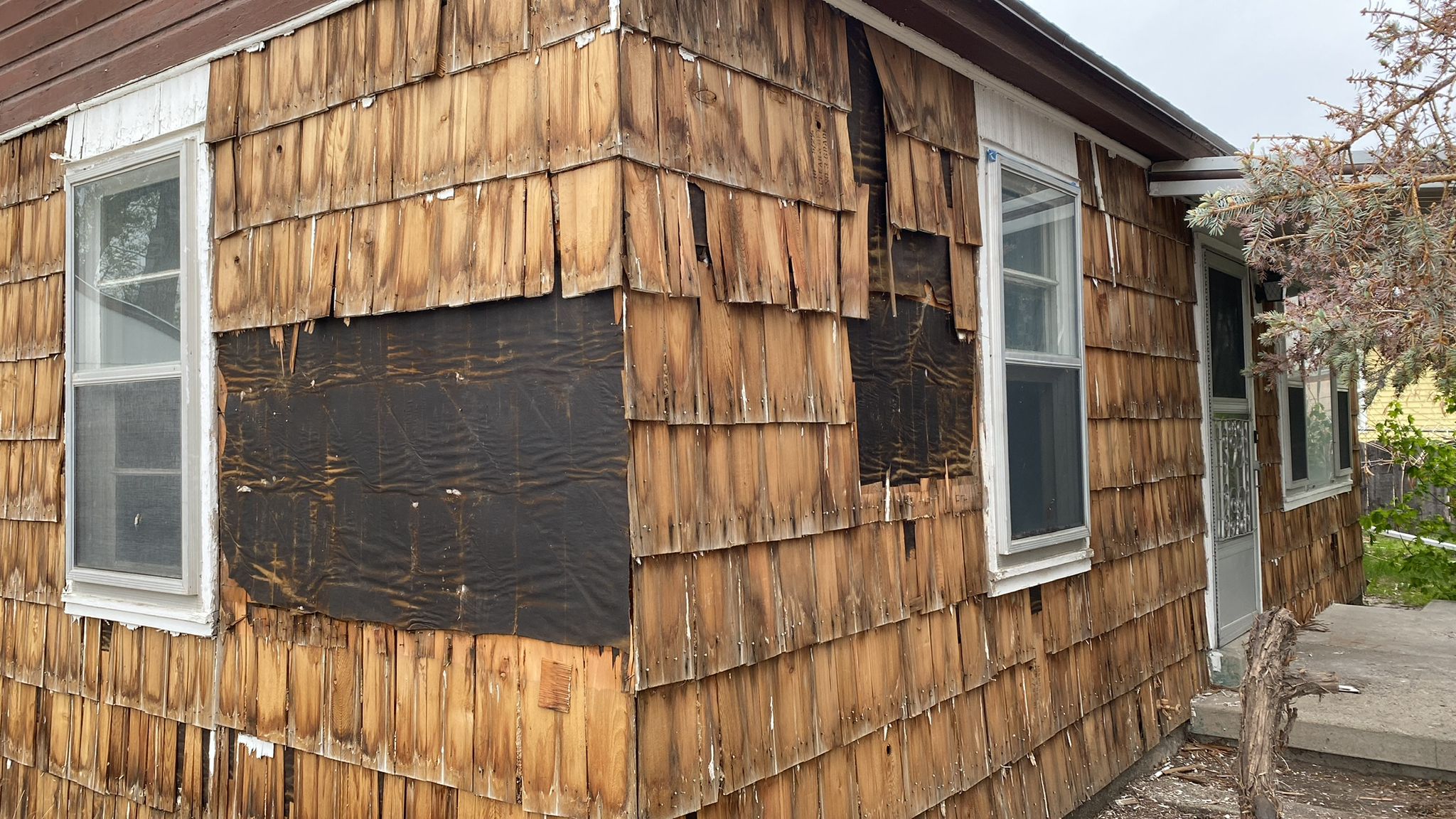 WhatsApp Image 2025-05-04 at 8.55.37 PM (8)