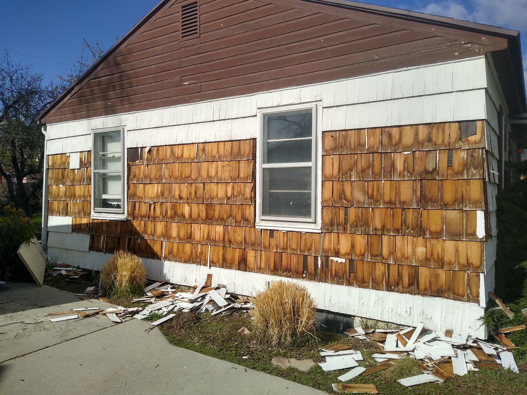 WhatsApp Image 2025-05-04 at 8.55.37 PM