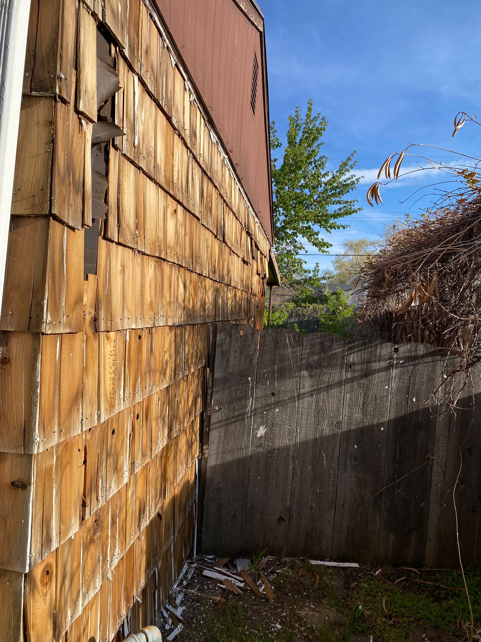 WhatsApp Image 2025-05-04 at 8.55.38 PM (2)