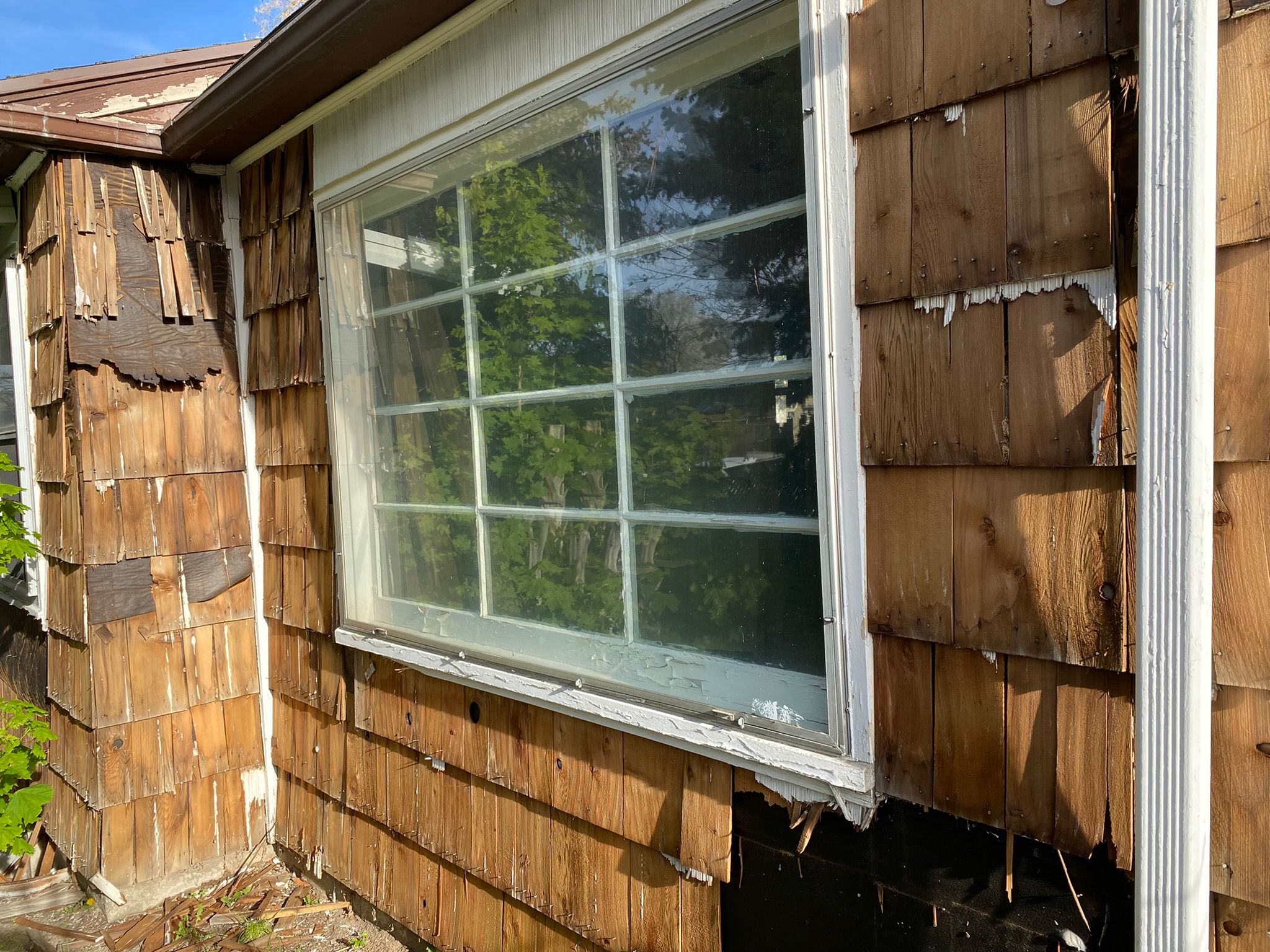 WhatsApp Image 2025-05-04 at 8.55.38 PM (4)