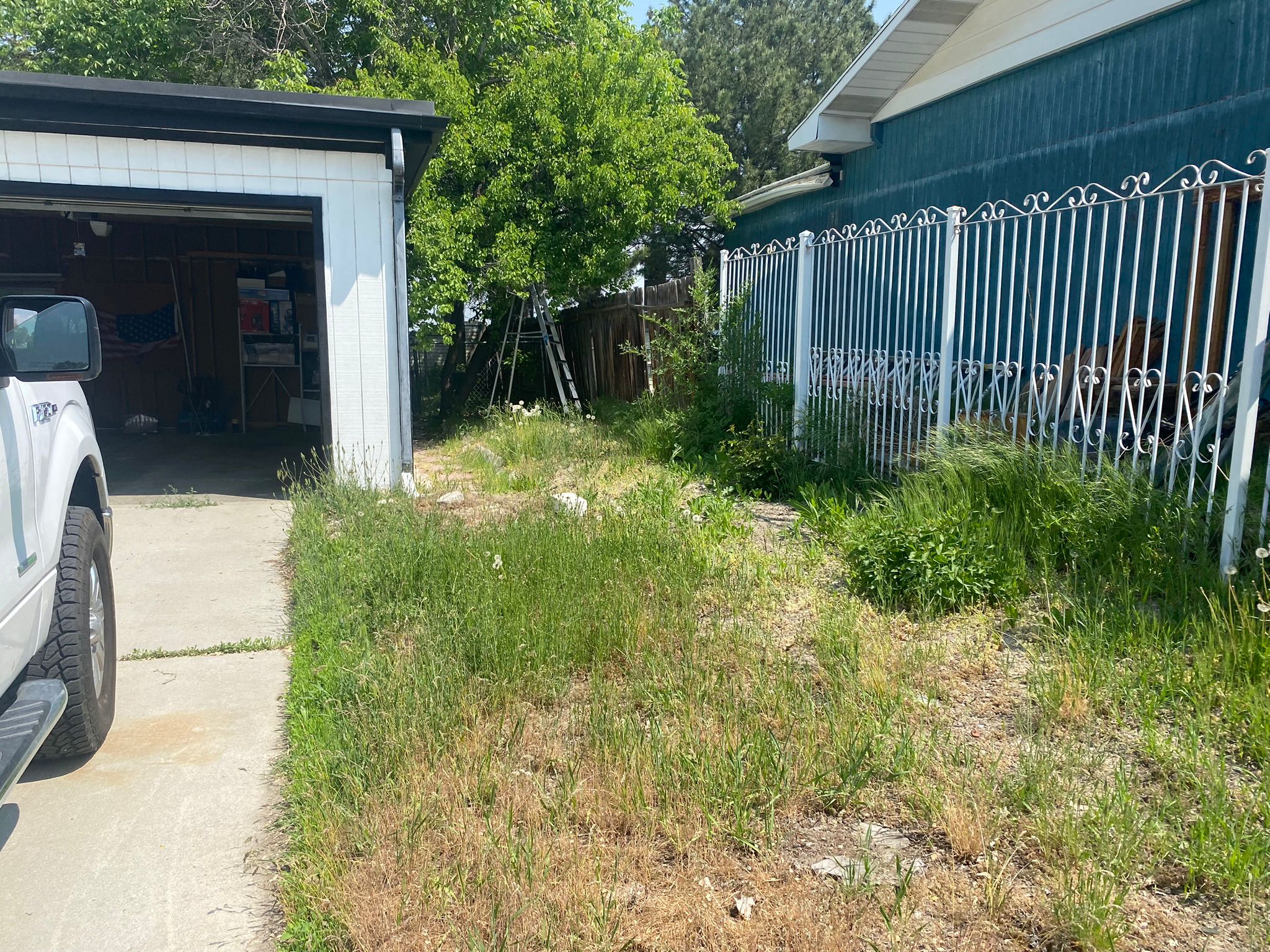 WhatsApp Image 2025-05-04 at 8.55.53 PM (2)