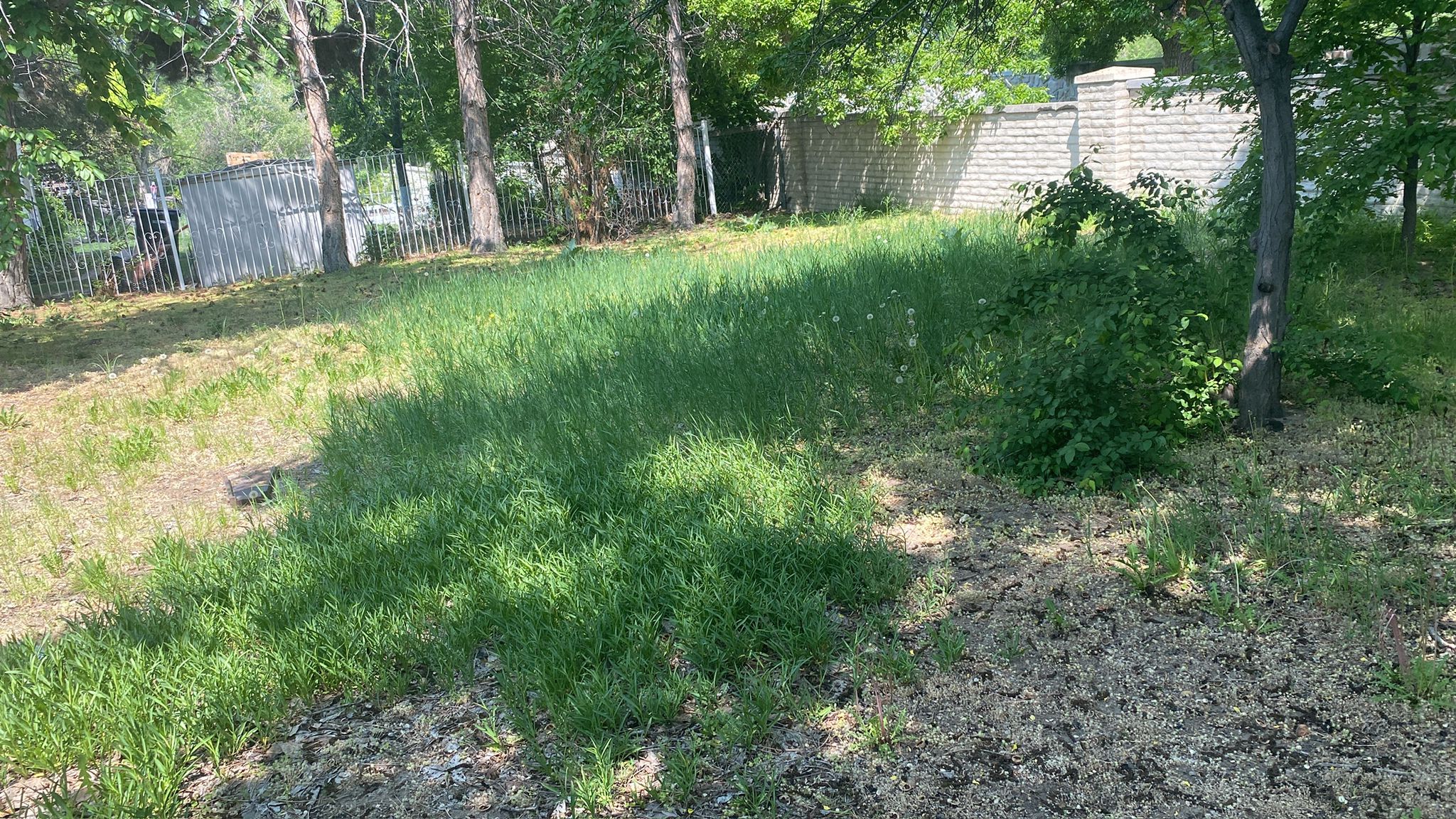 WhatsApp Image 2025-05-04 at 8.55.53 PM