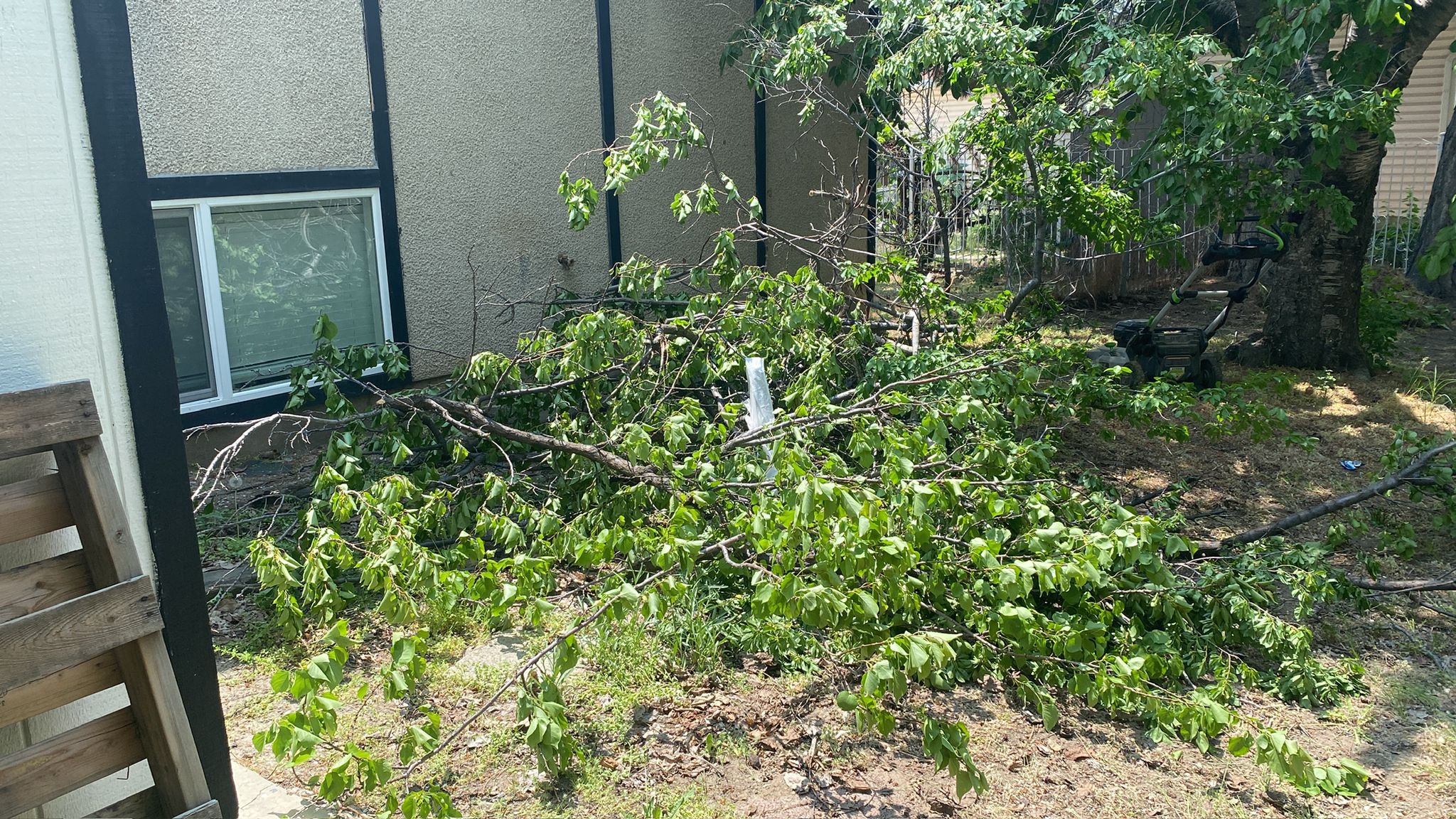 WhatsApp Image 2025-05-04 at 8.55.54 PM (3)