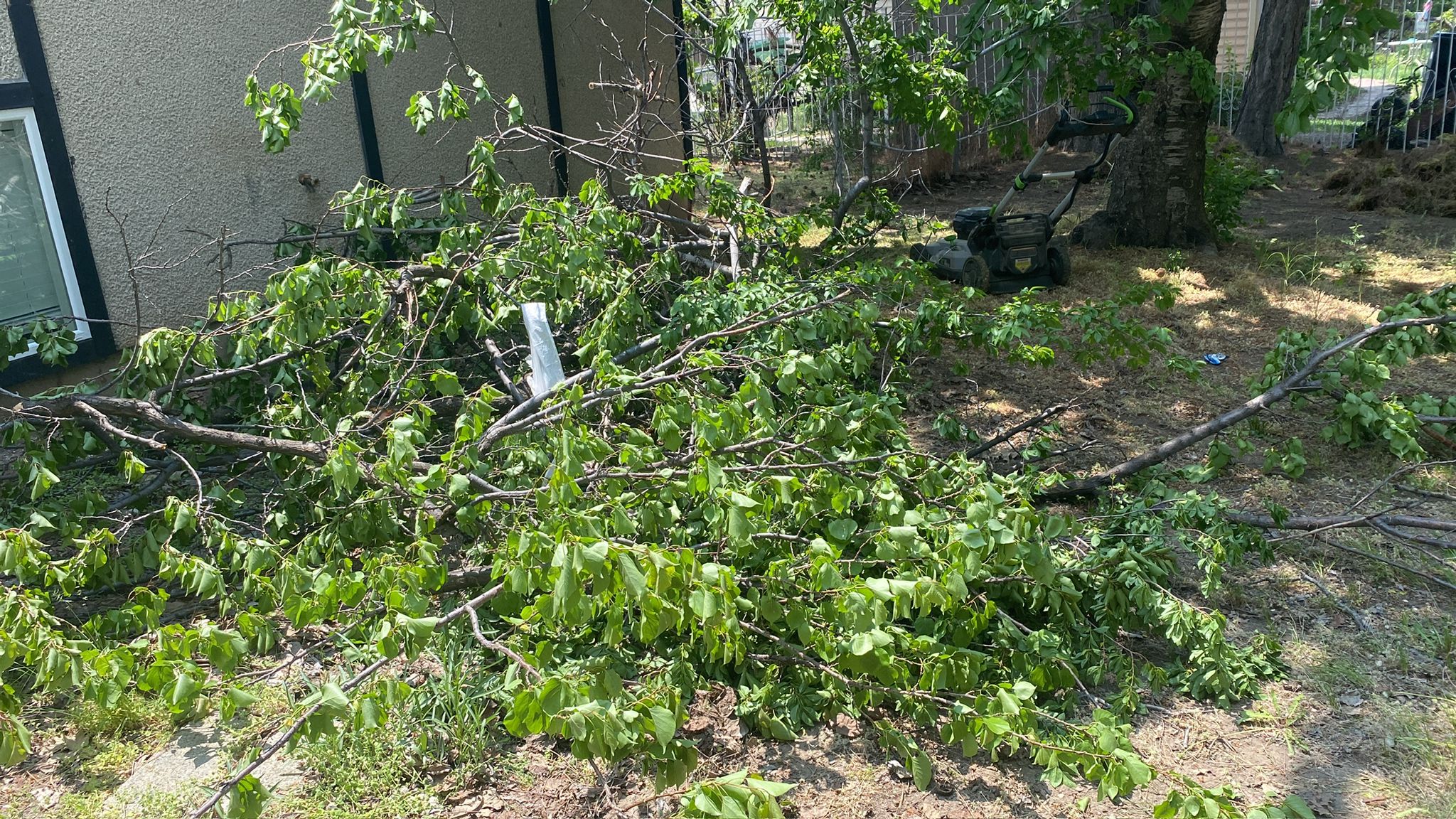 WhatsApp Image 2025-05-04 at 8.55.54 PM (5)