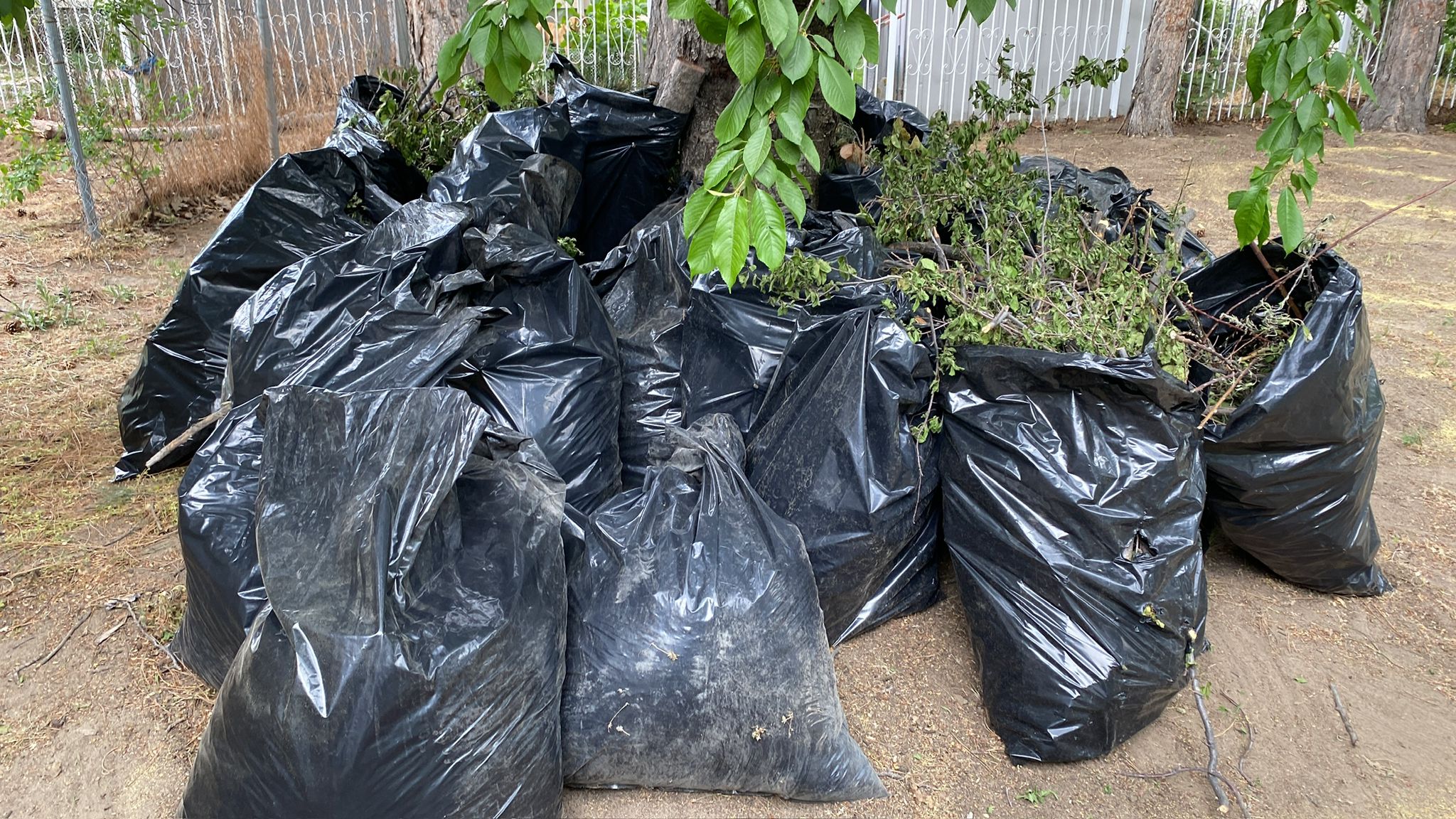 WhatsApp Image 2025-05-04 at 8.55.54 PM (8)