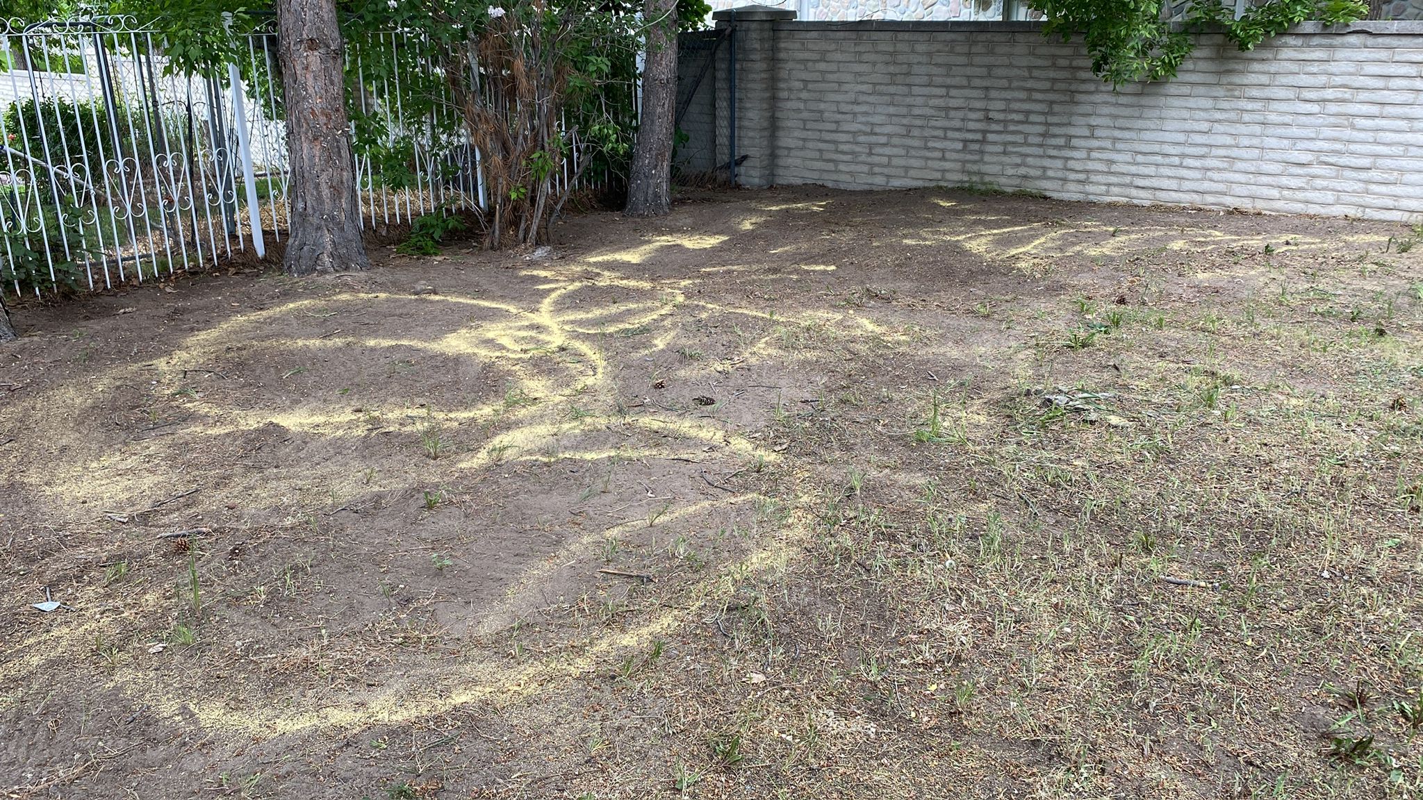 WhatsApp Image 2025-05-04 at 8.55.54 PM (9)