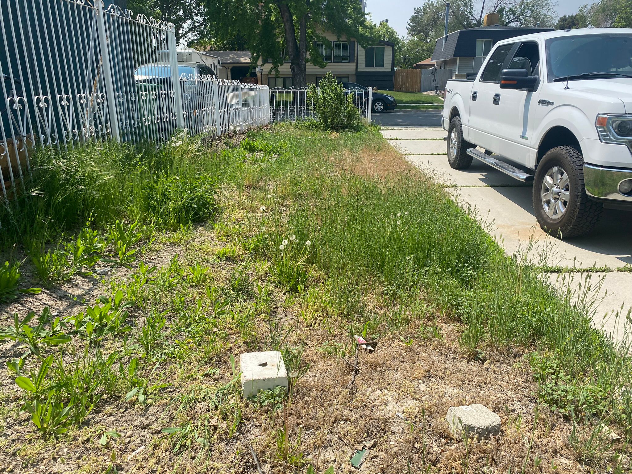 WhatsApp Image 2025-05-04 at 8.55.54 PM