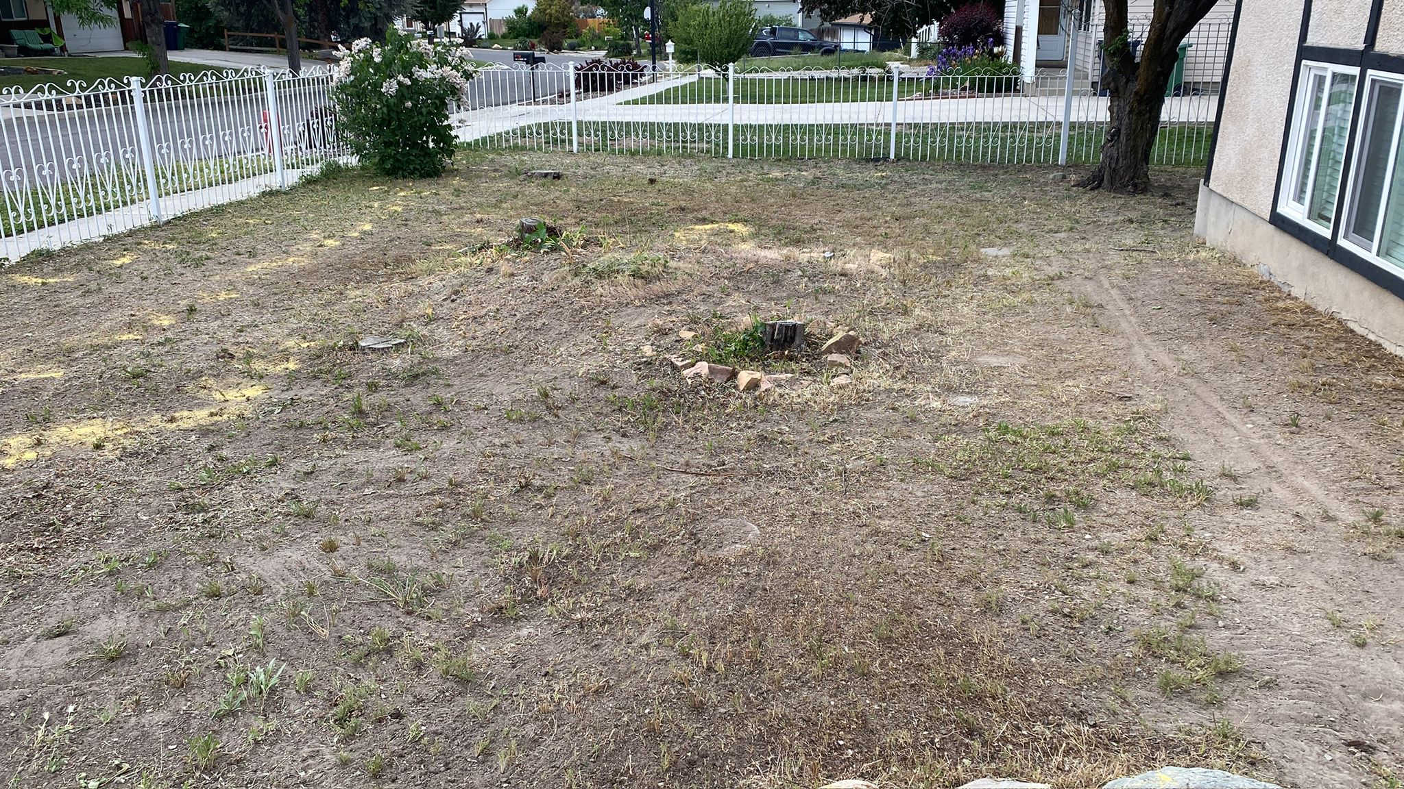 WhatsApp Image 2025-05-04 at 8.55.55 PM (1)