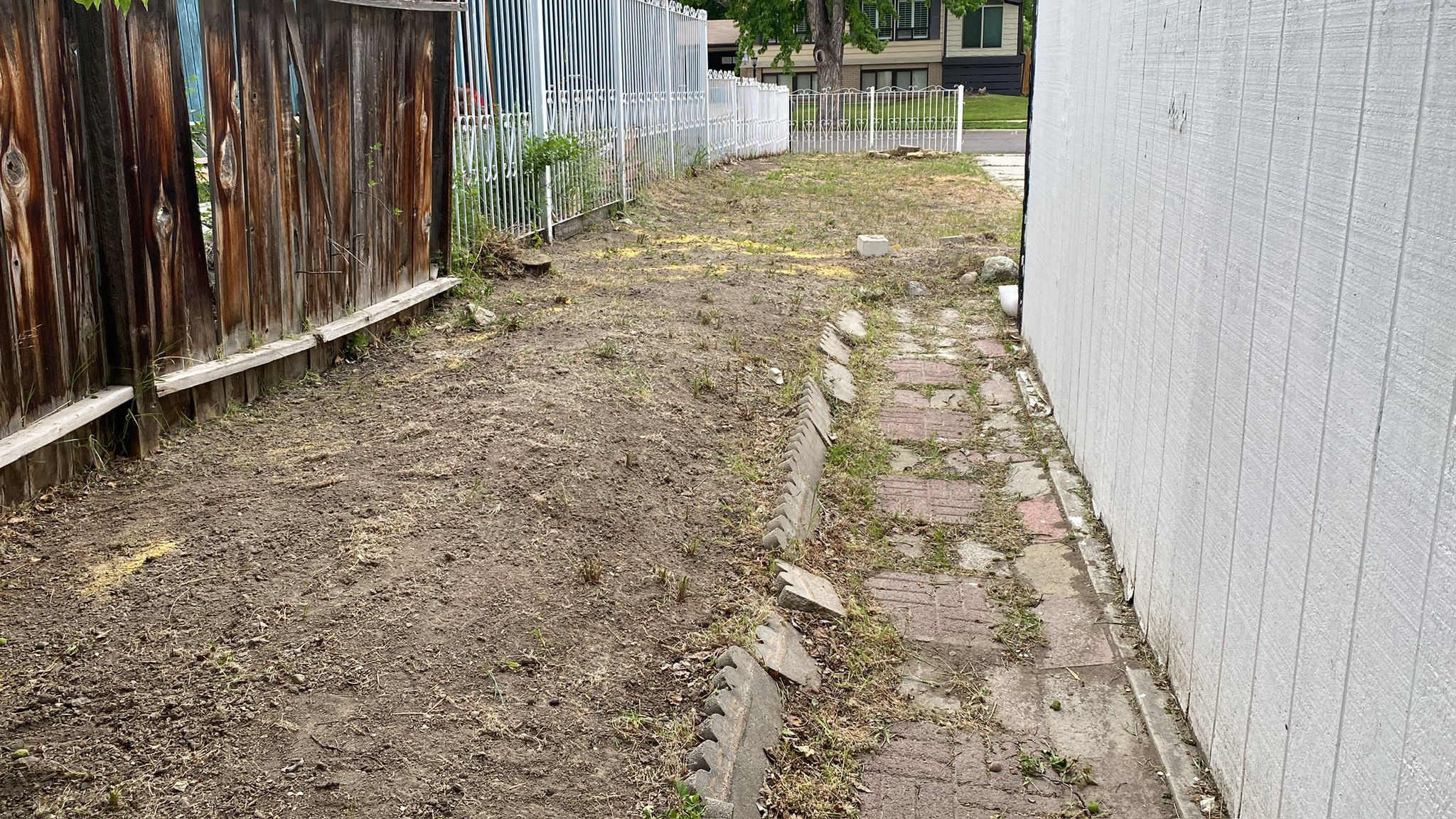 WhatsApp Image 2025-05-04 at 8.55.55 PM (2)