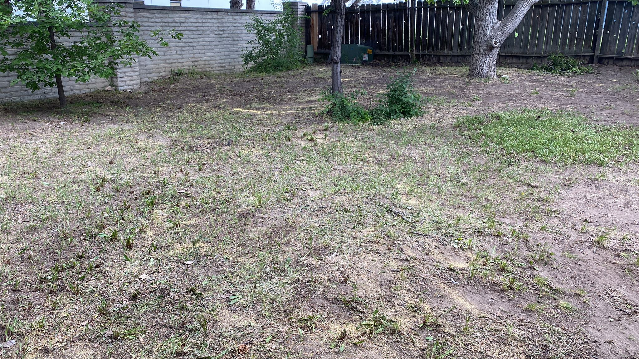 WhatsApp Image 2025-05-04 at 8.55.55 PM (3)