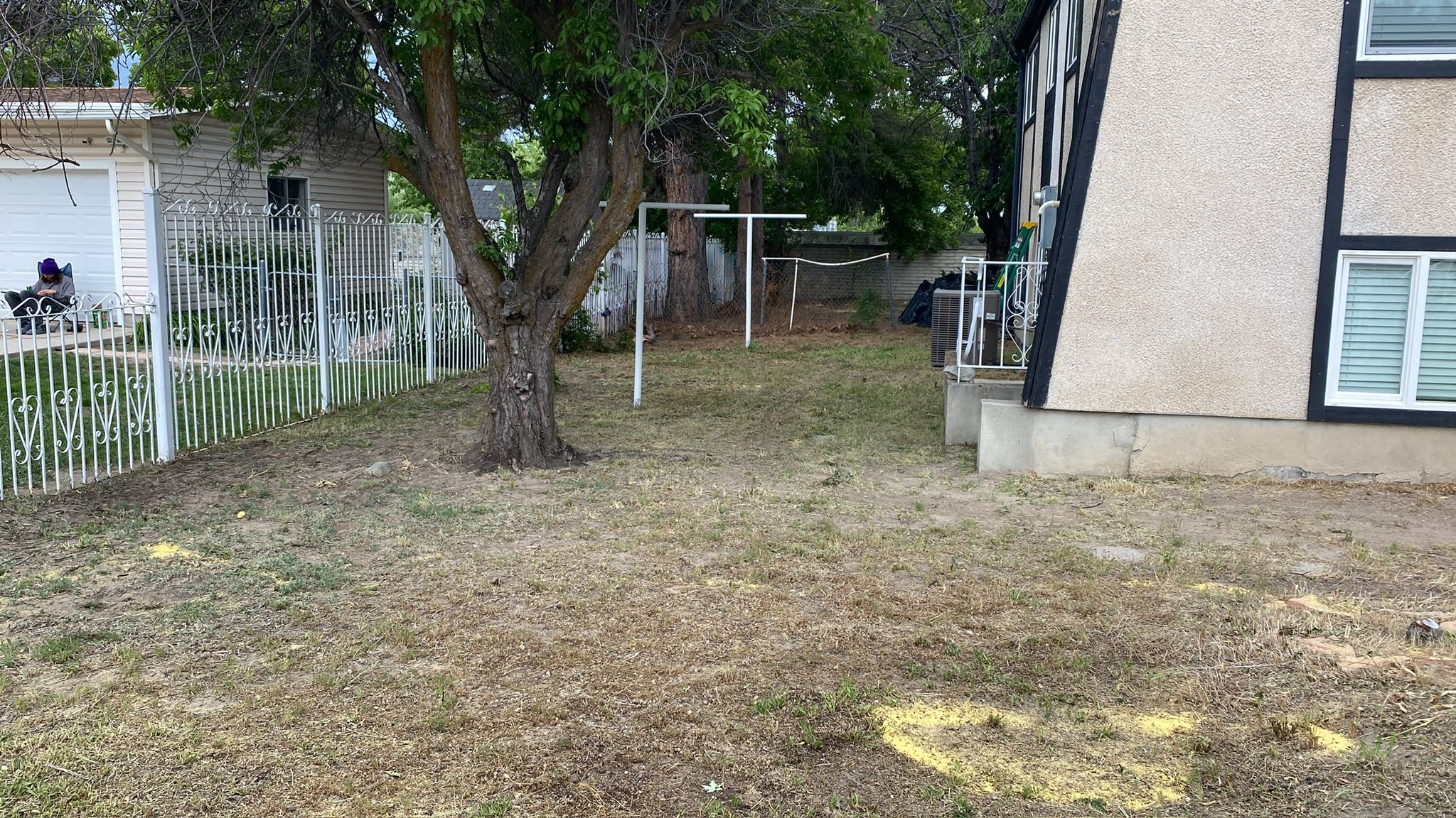 WhatsApp Image 2025-05-04 at 8.55.55 PM