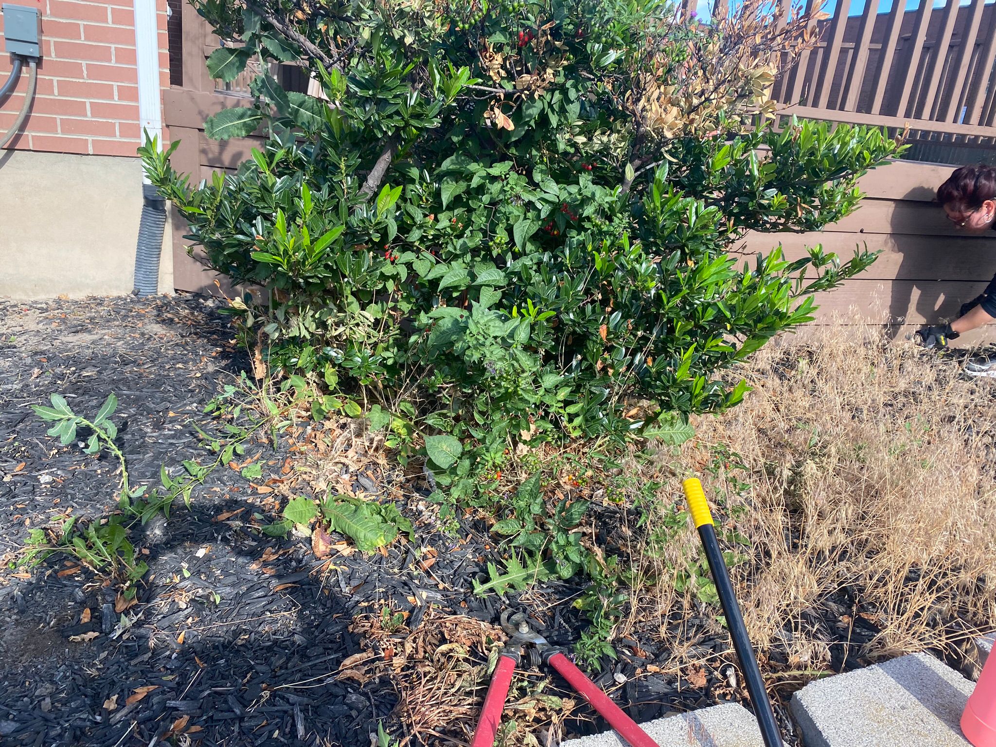 WhatsApp Image 2025-05-04 at 8.56.10 PM (2)