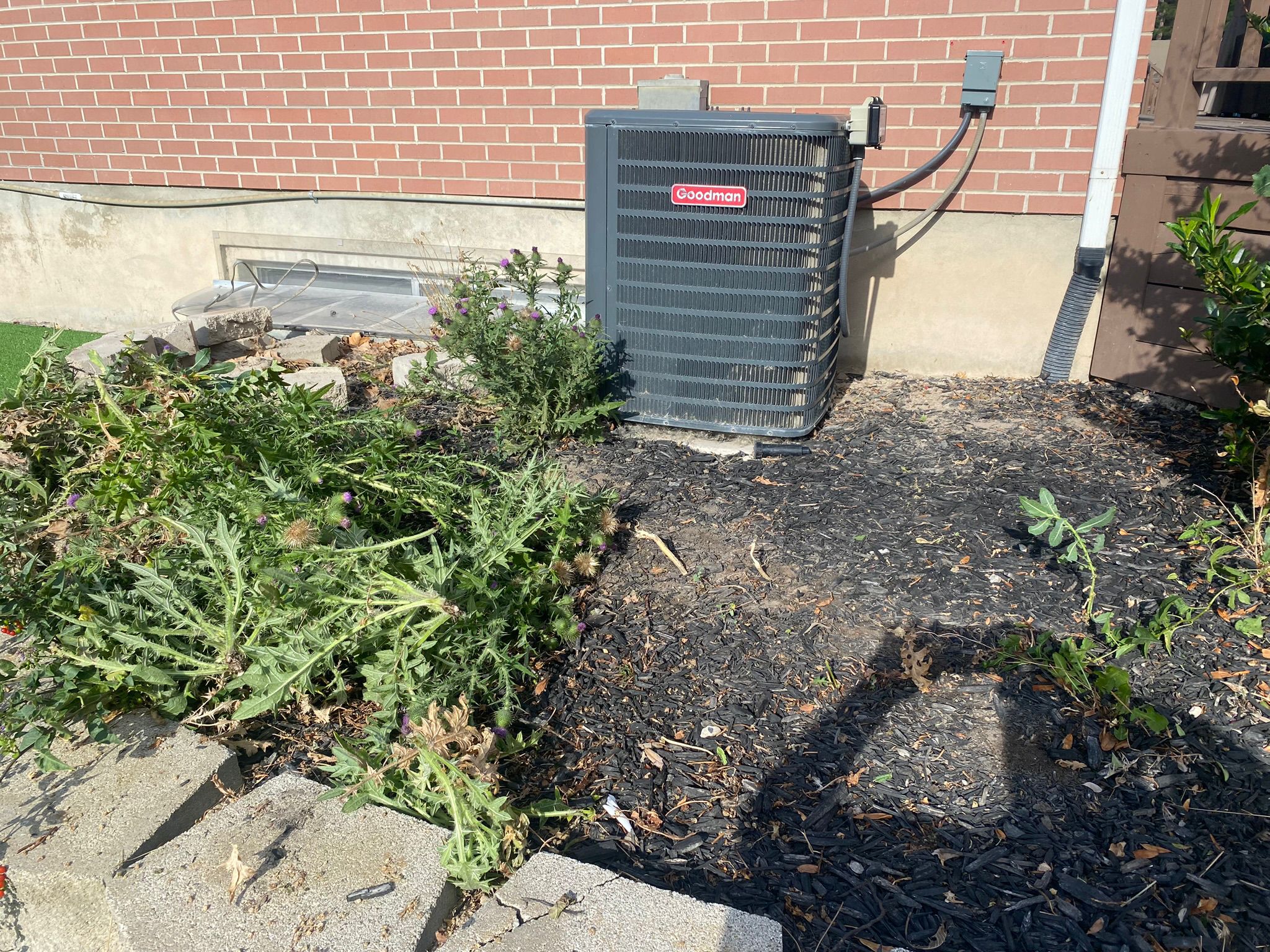 WhatsApp Image 2025-05-04 at 8.56.10 PM (3)