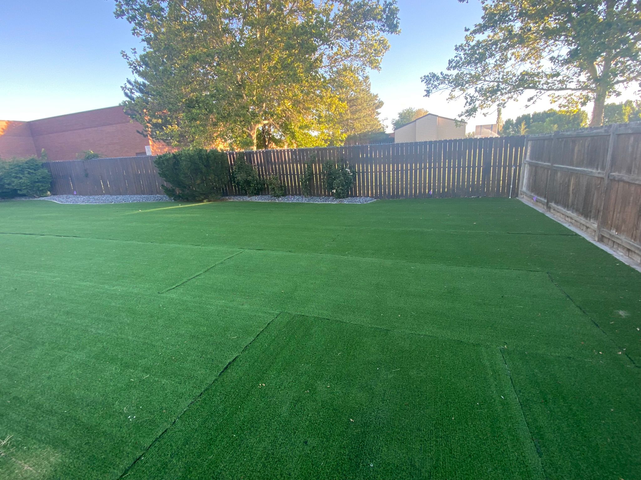 WhatsApp Image 2025-05-04 at 8.56.10 PM