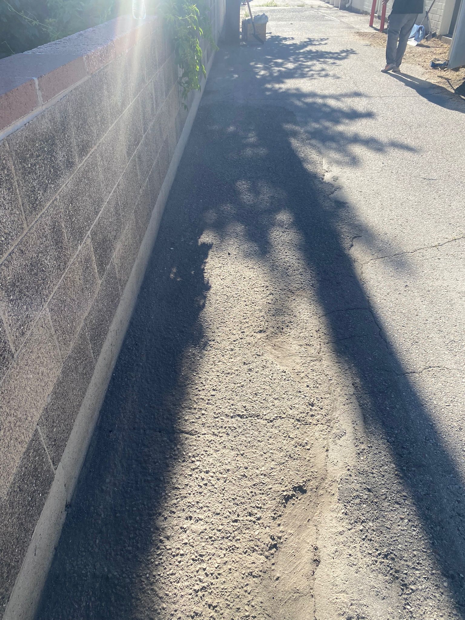 WhatsApp Image 2025-05-04 at 8.56.20 PM (2)