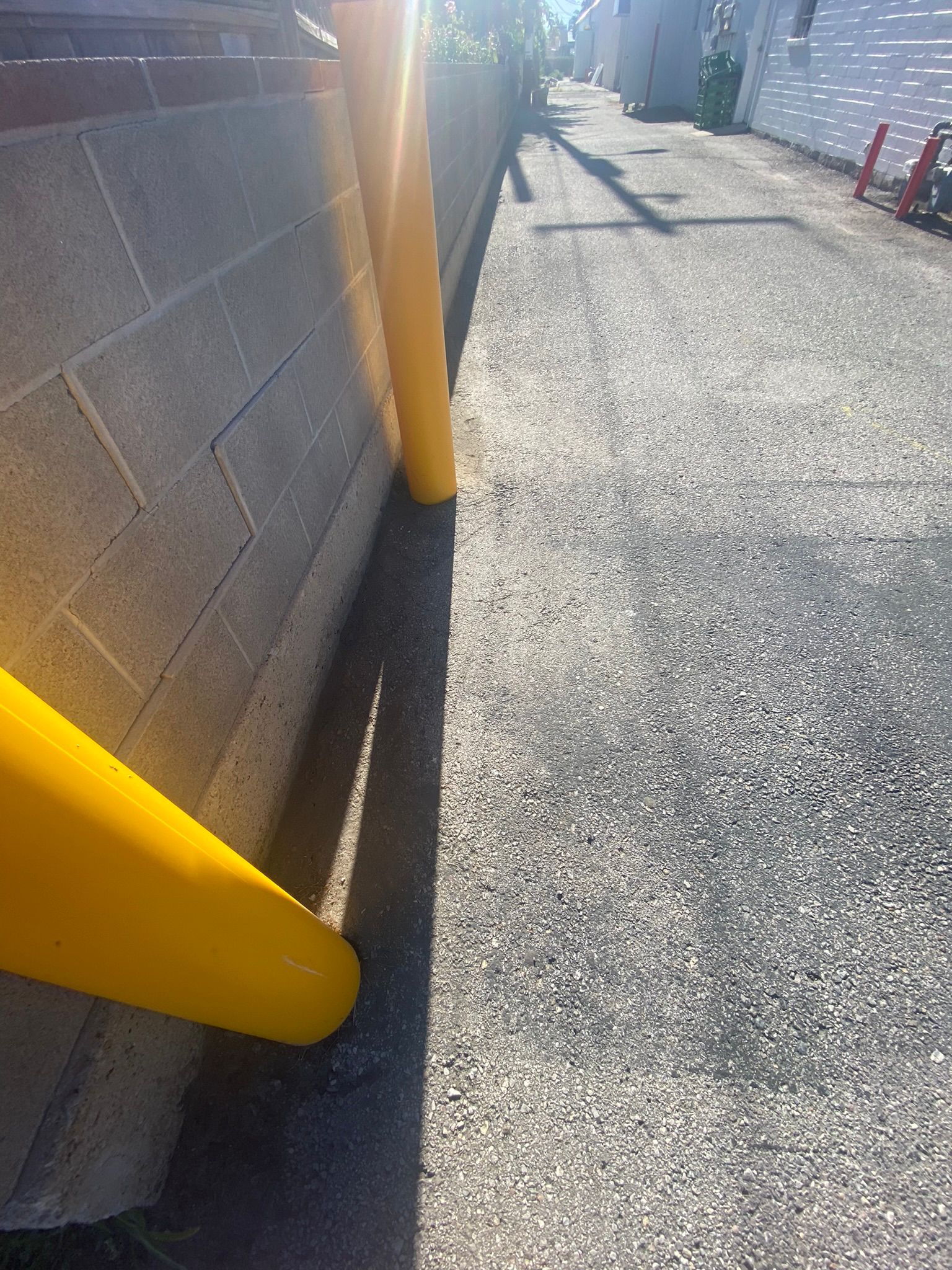 WhatsApp Image 2025-05-04 at 8.56.20 PM