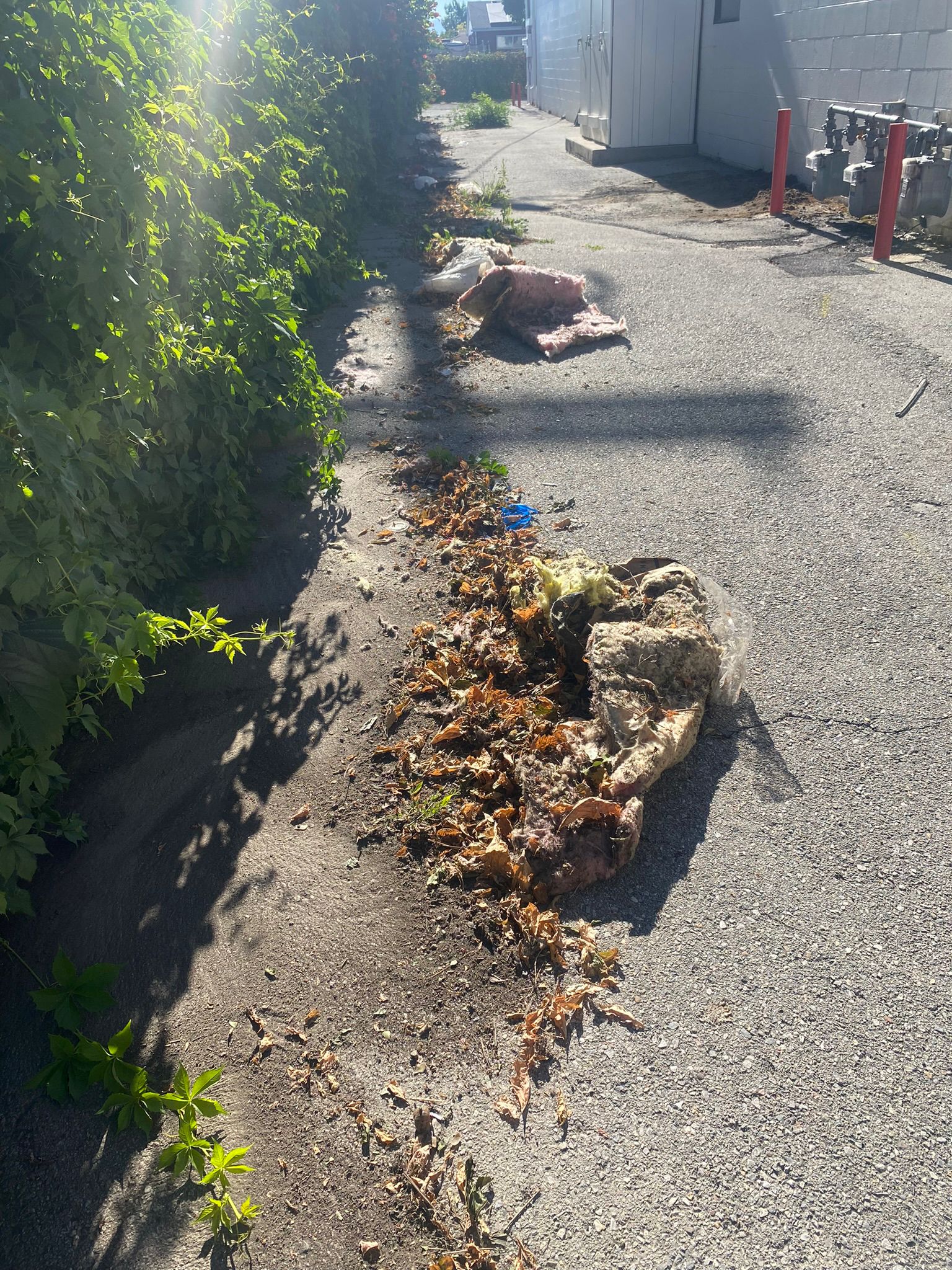 WhatsApp Image 2025-05-04 at 8.56.21 PM (1)