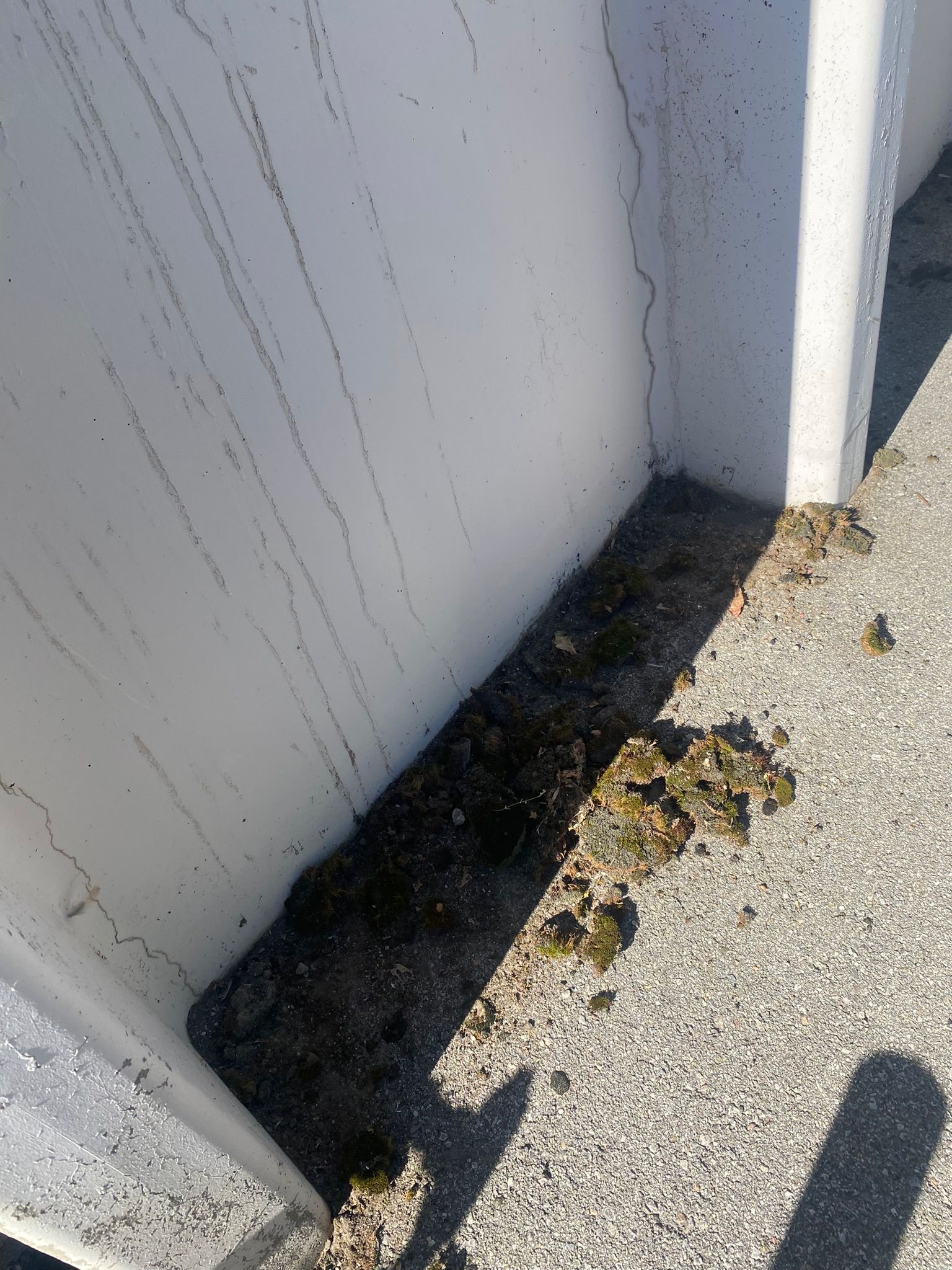 WhatsApp Image 2025-05-04 at 8.56.21 PM (4)