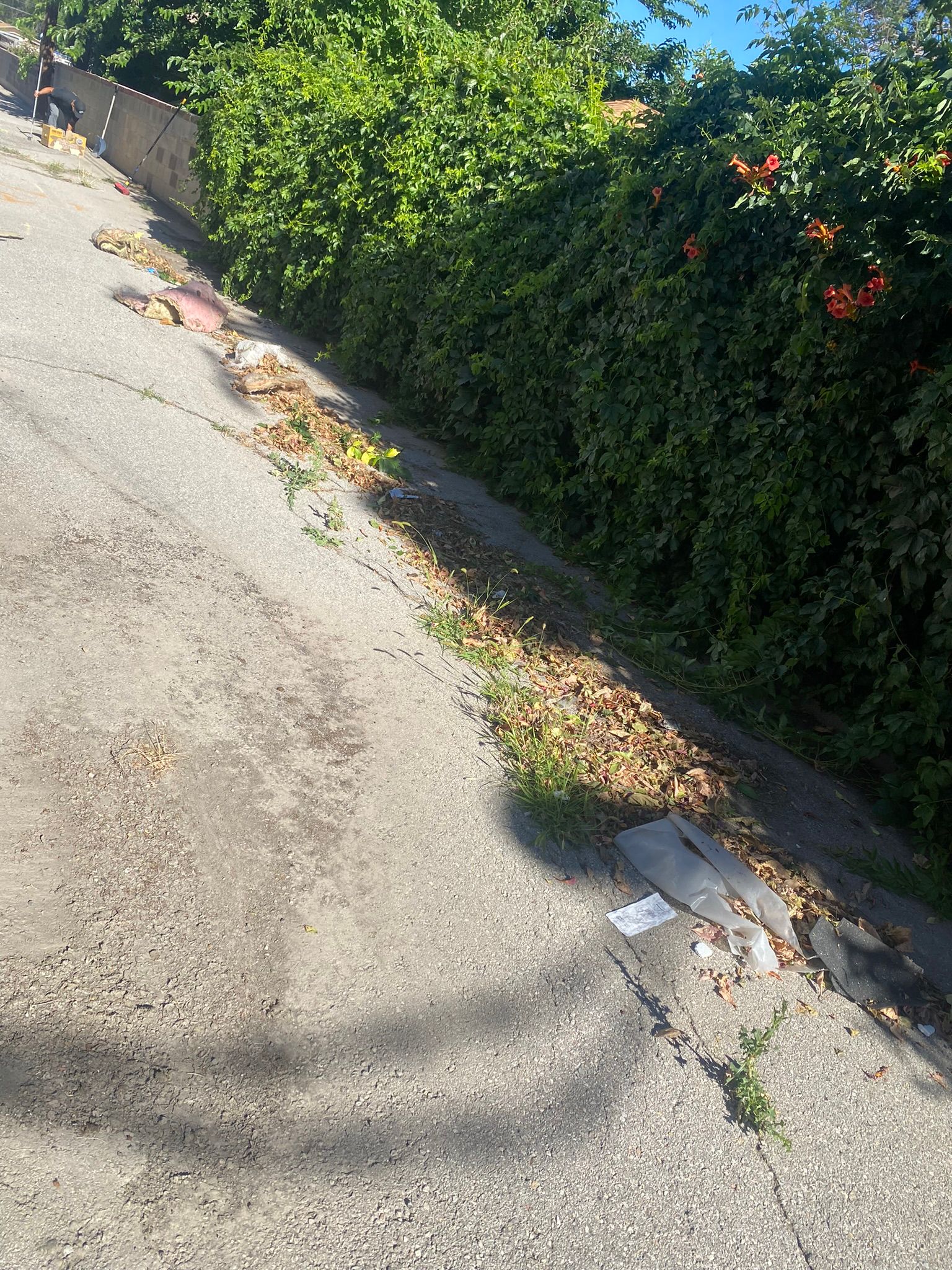 WhatsApp Image 2025-05-04 at 8.56.21 PM (6)