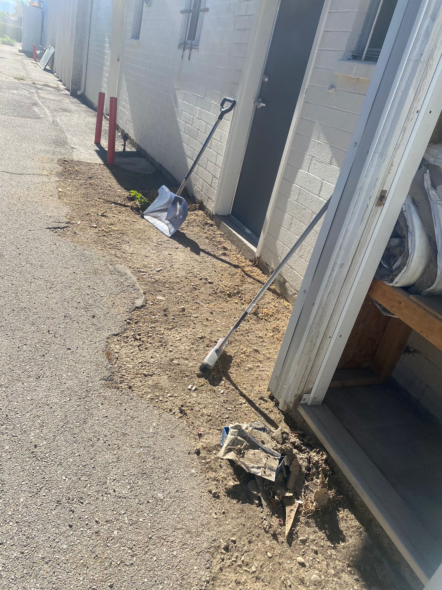 WhatsApp Image 2025-05-04 at 8.56.21 PM